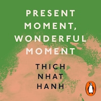 Present Moment, Wonderful Moment