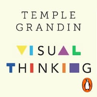 Visual Thinking