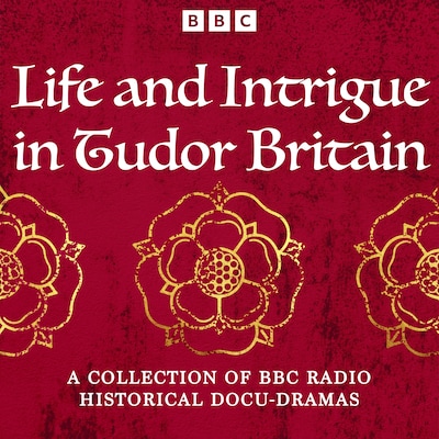 Life and Intrigue in Tudor Britain