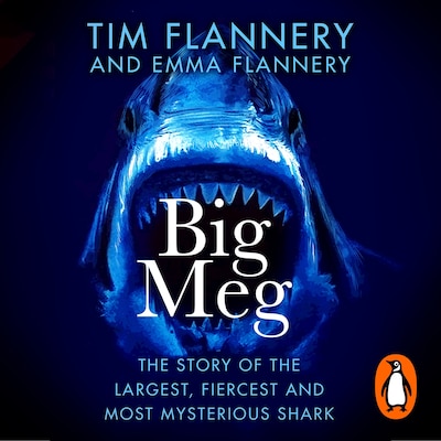Big Meg