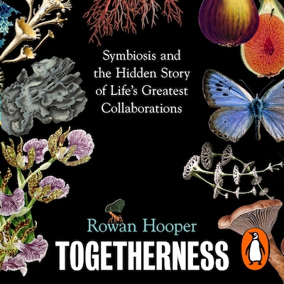 Togetherness