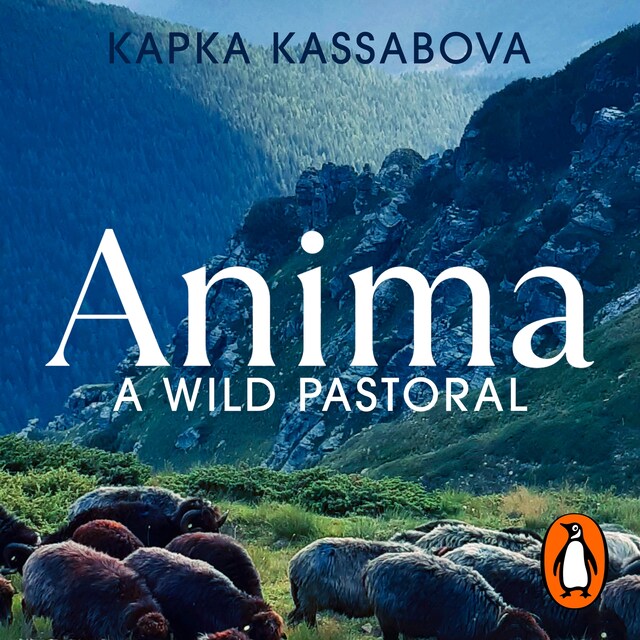 Buchcover für Anima