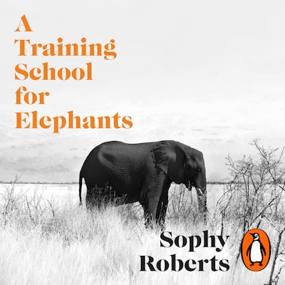 A Training School for Elephants