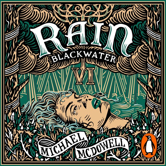 Book cover for Blackwater VI: Rain