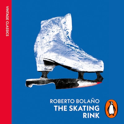 The Skating Rink