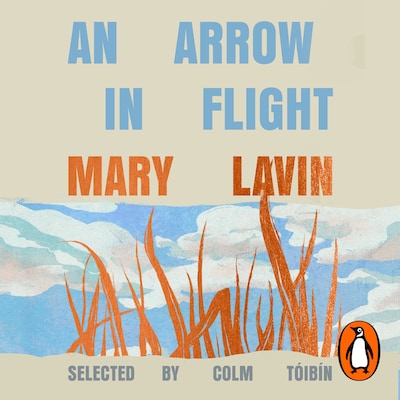 An Arrow in Flight