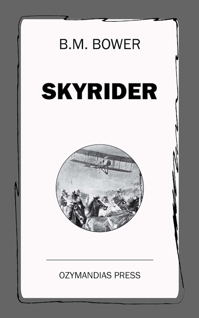 Boekomslag van Skyrider