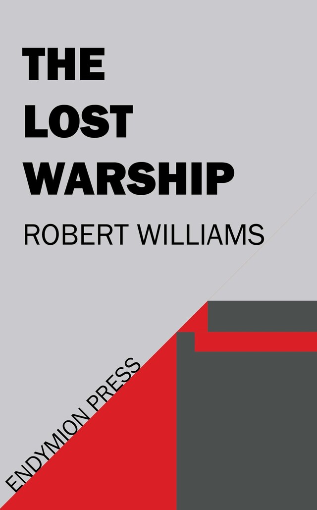 Book cover for The Lost Warship
