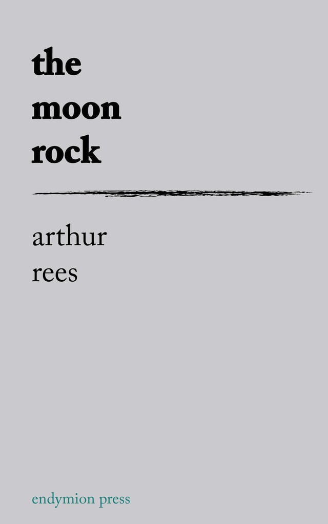 Book cover for The Moon Rock