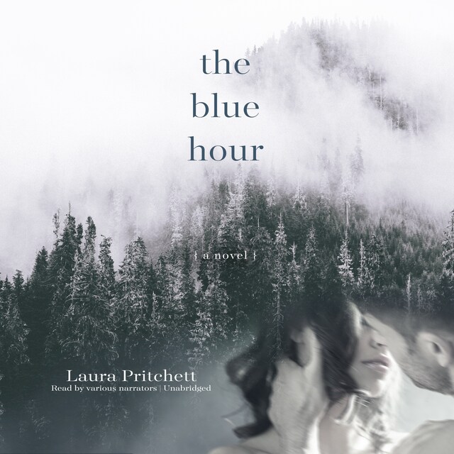 Book cover for The Blue Hour