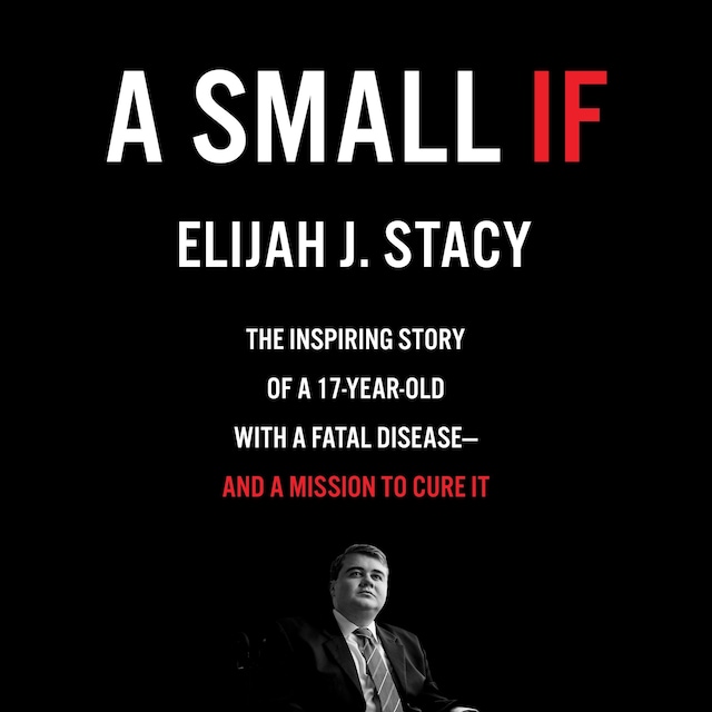 A Small If Book cover for A Small If
