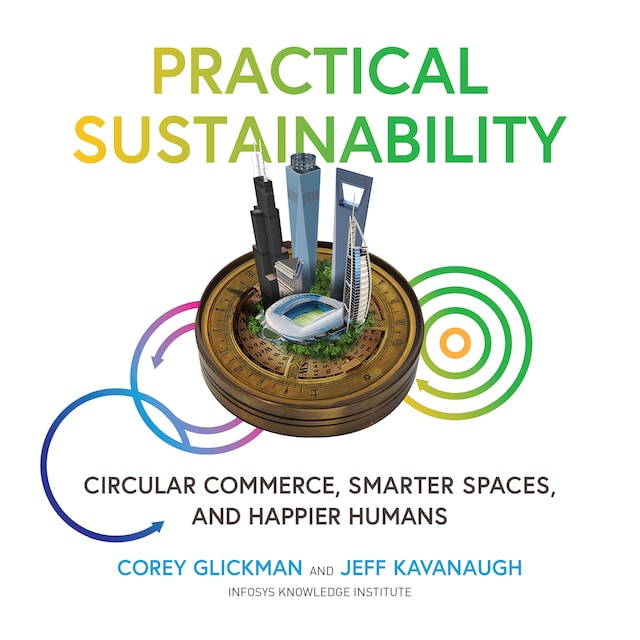 Couverture de livre pour Practical Sustainability