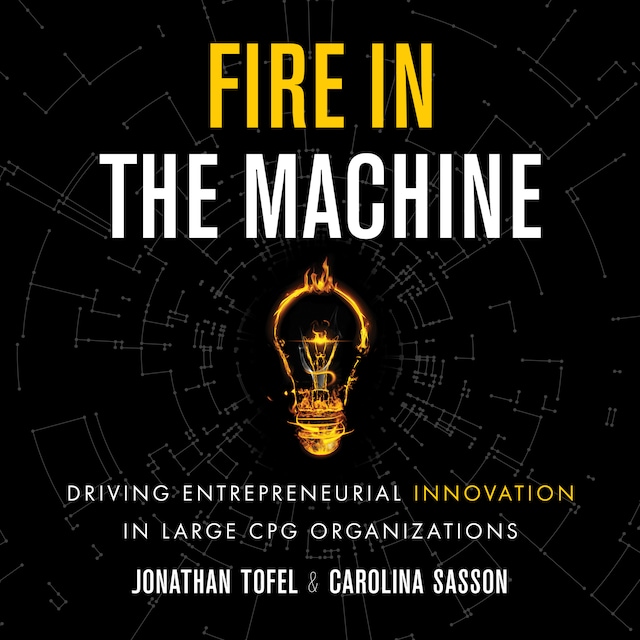 Book cover for Fire in the Machine