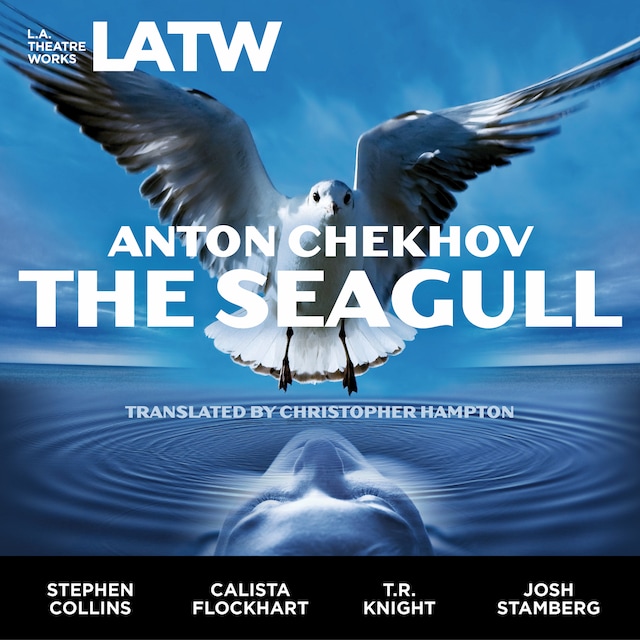 Boekomslag van The Seagull