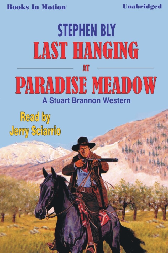 Book cover for Last Hanging at Paradise Meadow