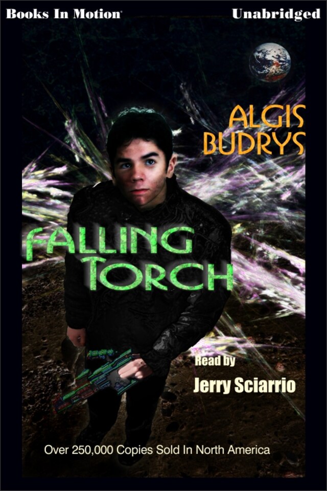 Buchcover für Falling Torch