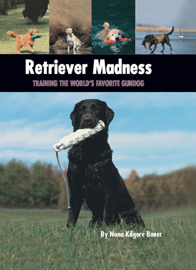 Book cover for Retriever Madness