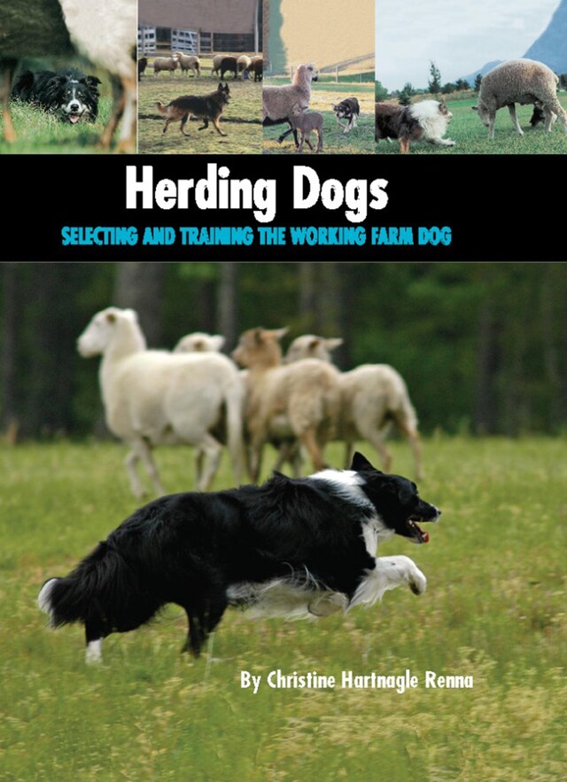 Book cover for Herding Dogs