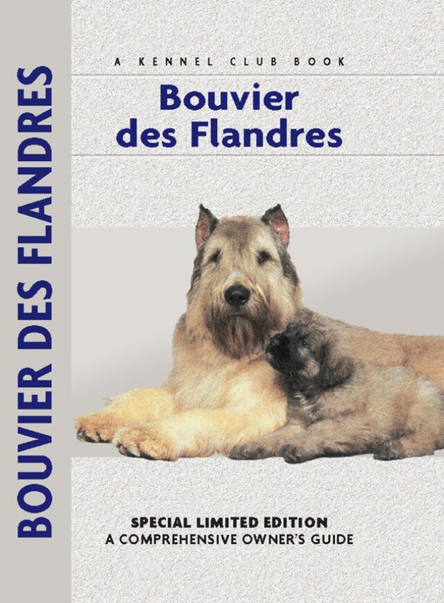 Book cover for Bouvier Des Flandres