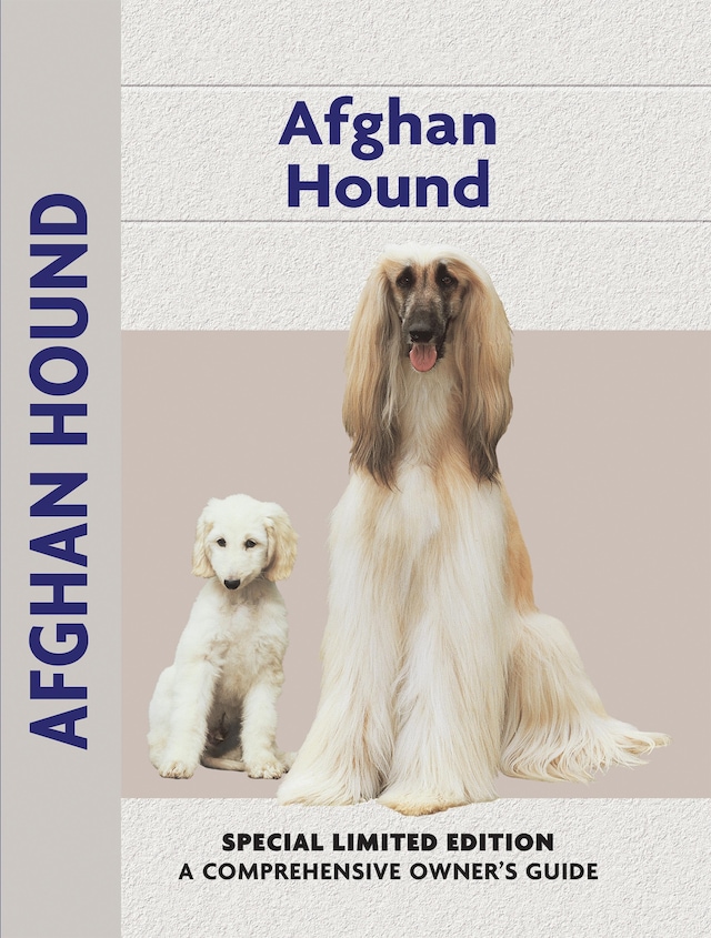 Book cover for Afghan Hound