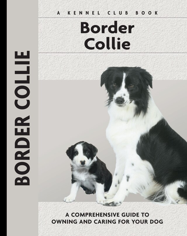 Bogomslag for Border Collie