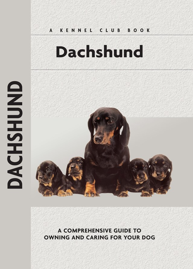 Book cover for Dachshund