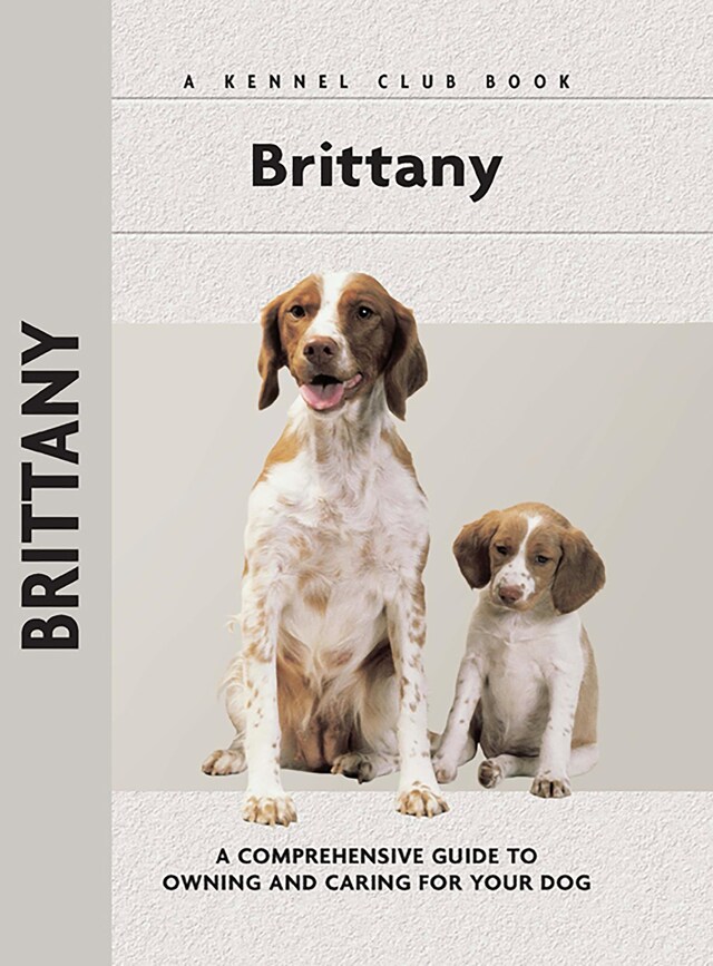 Book cover for Brittany