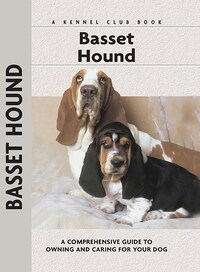 Basset Hound