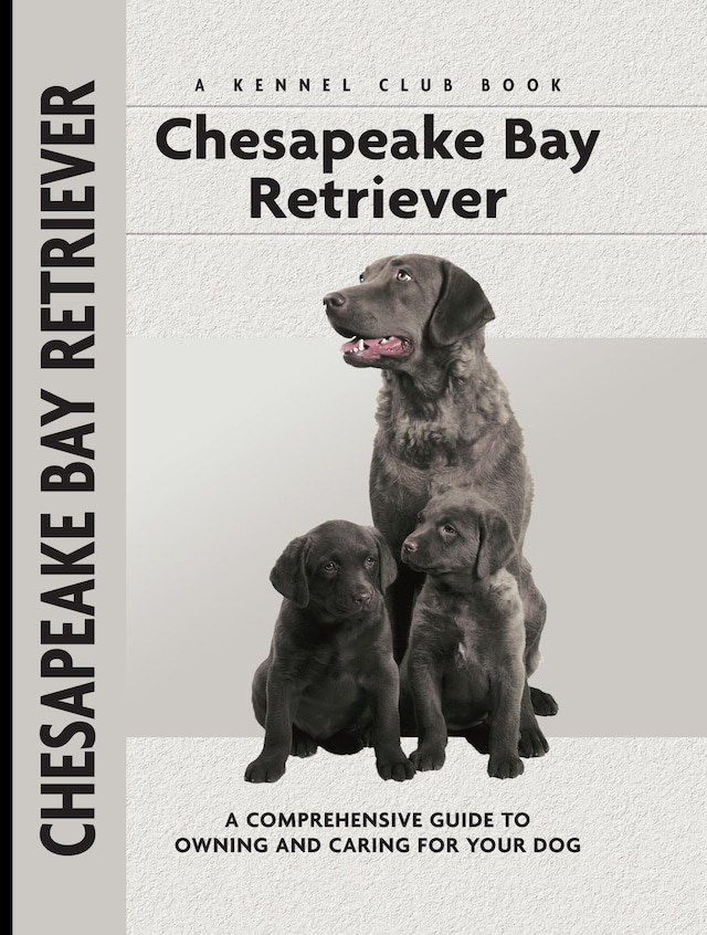 Book cover for Chesapeake Bay Retriever