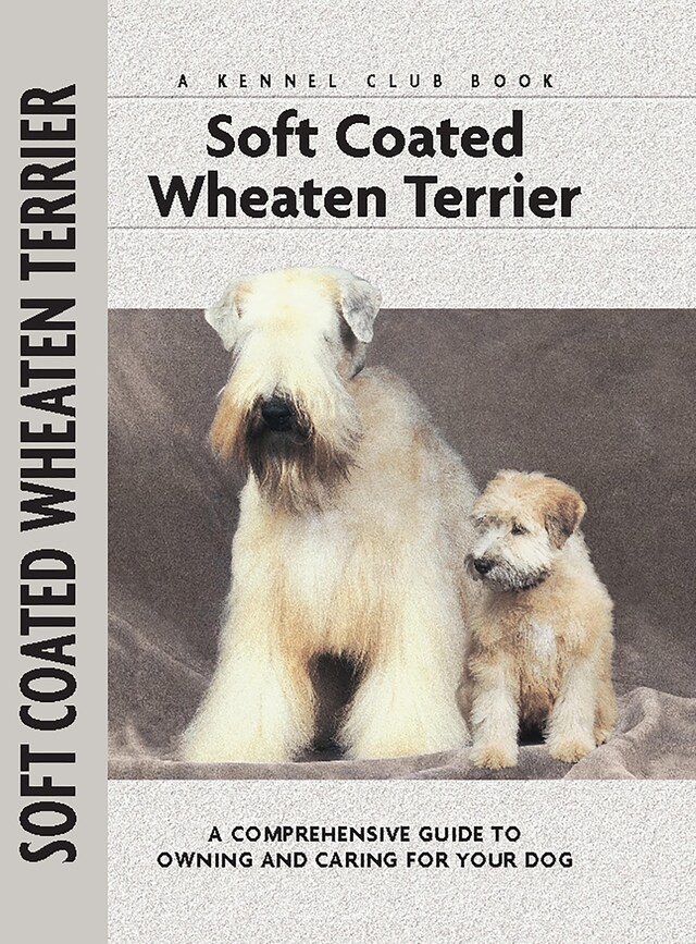 Kirjankansi teokselle Soft Coat Wheaten Terrier