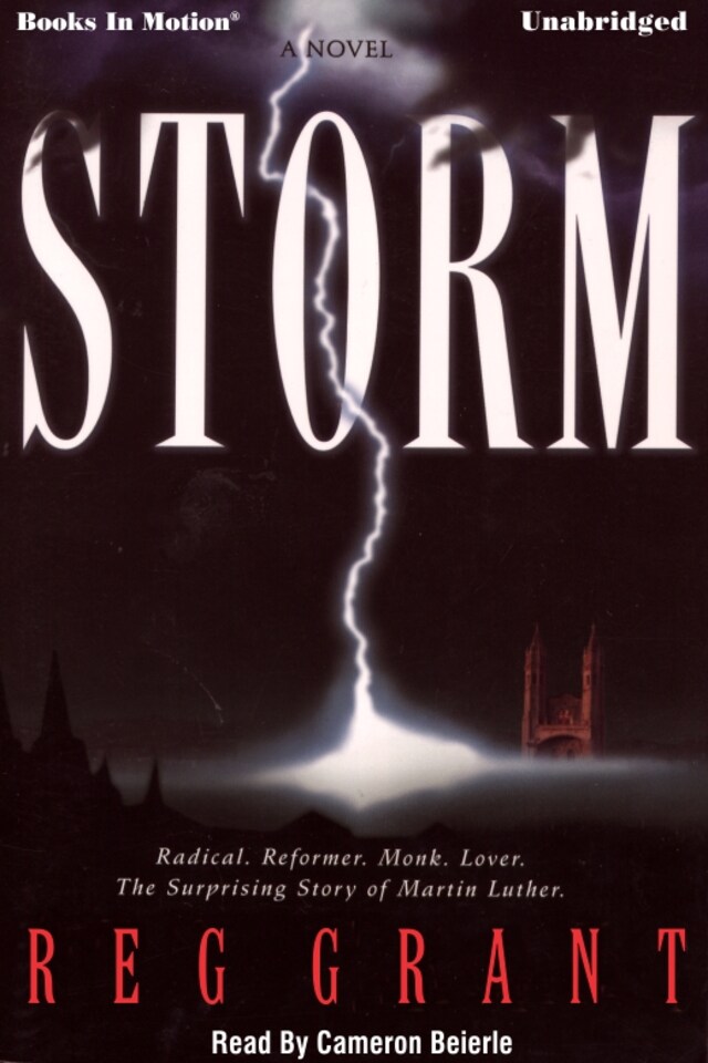 Book cover for Storm