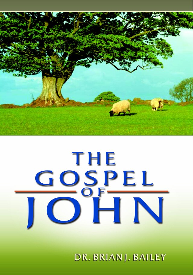 Book cover for The Gospel of John