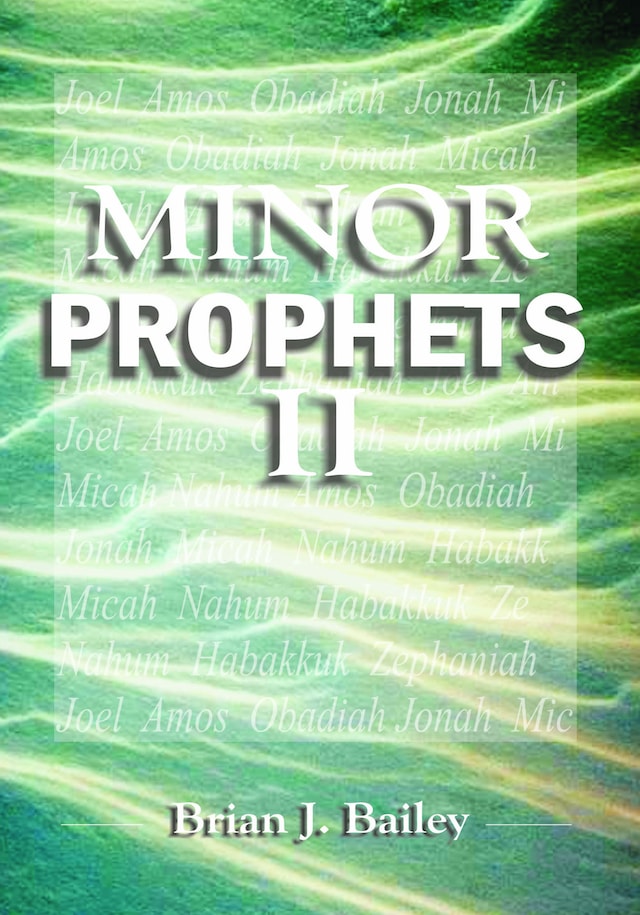 Book cover for Minor Prophets II