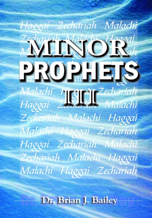 Book cover for Minor Prophets III