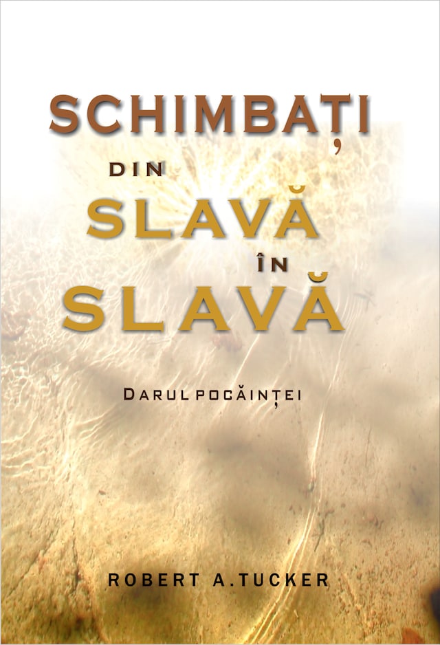 Boekomslag van Schimbați din slavă în slavă