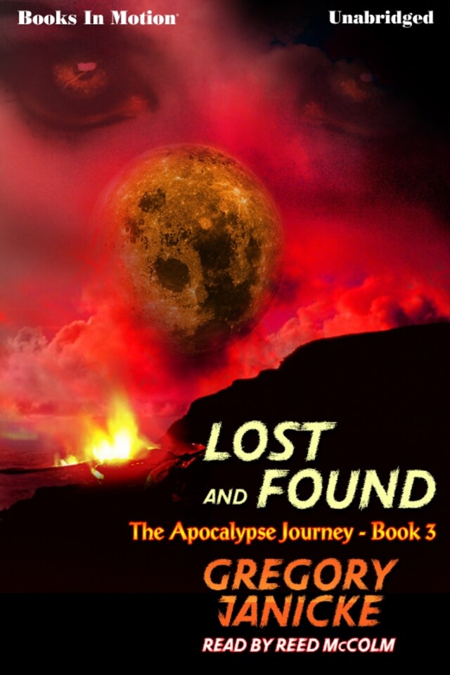 Book cover for Lost And Found