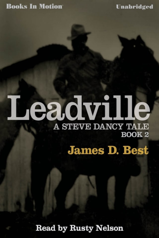 Book cover for Leadville