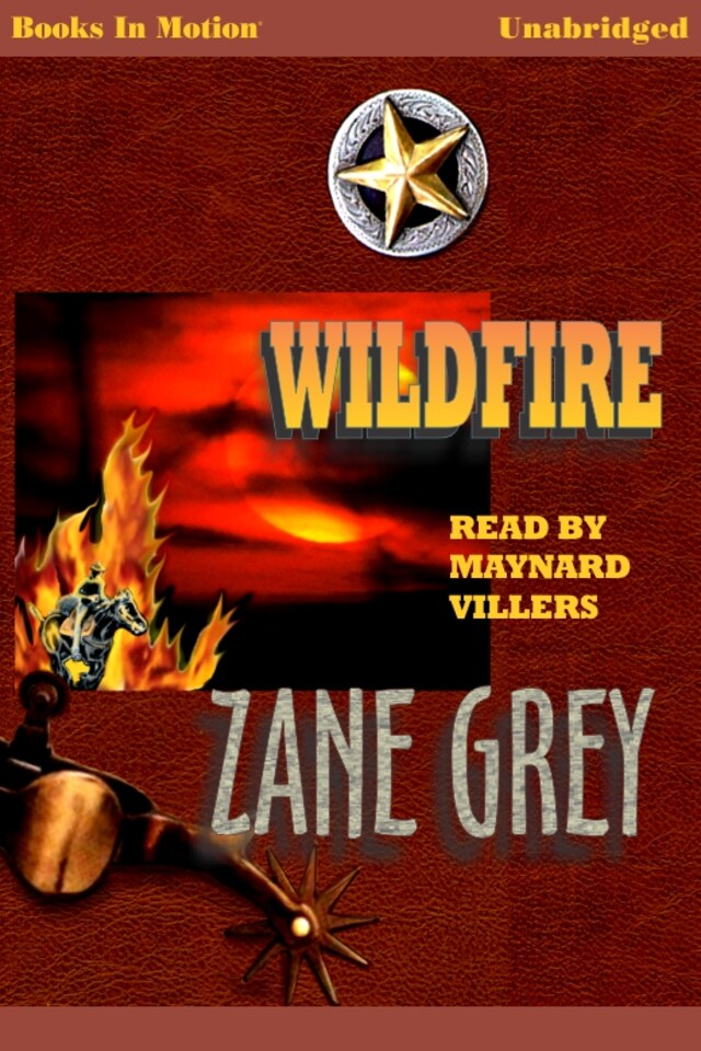 Portada de libro para Wildfire