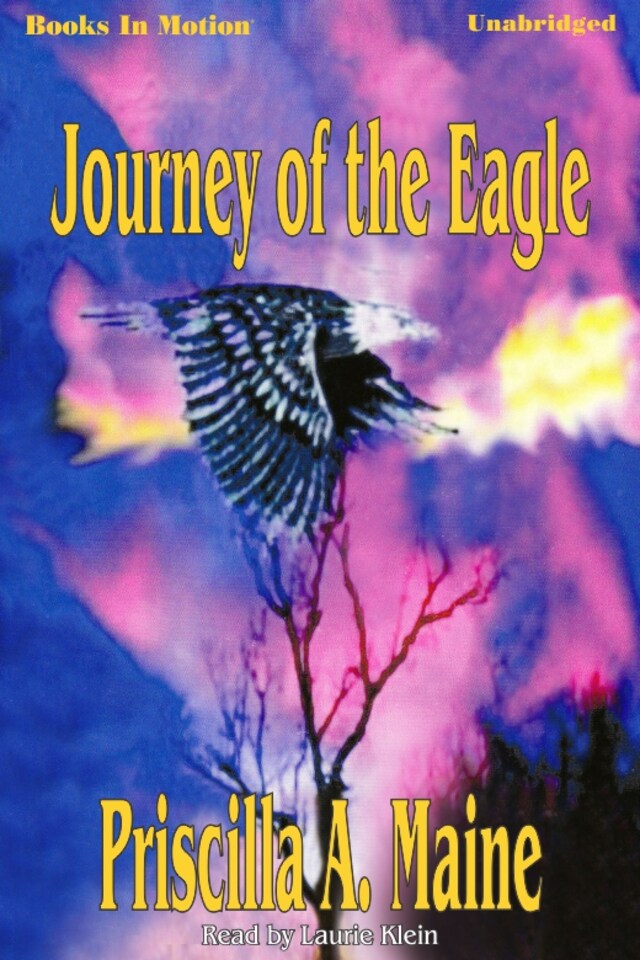 Couverture de livre pour Journey Of The Eagle