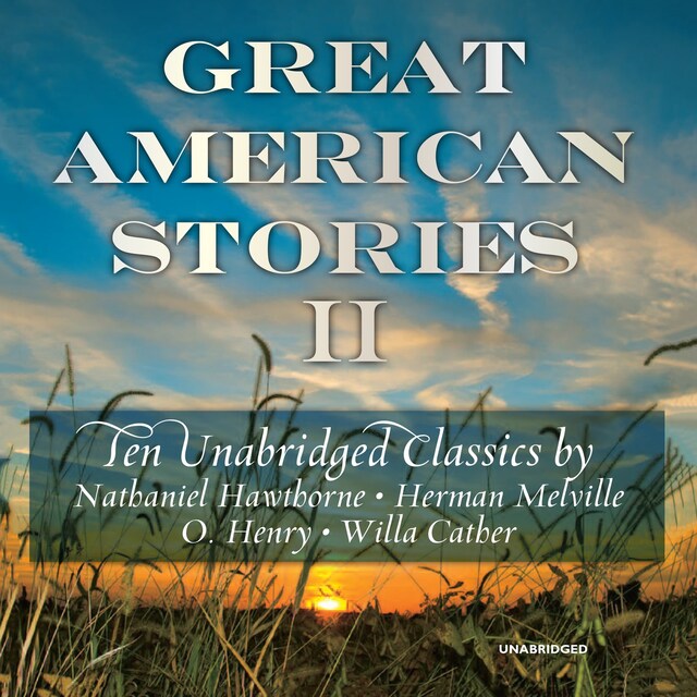 Book cover for Great American Stories II