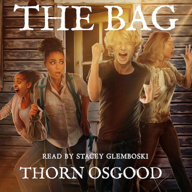 Kirjankansi teokselle The Bag