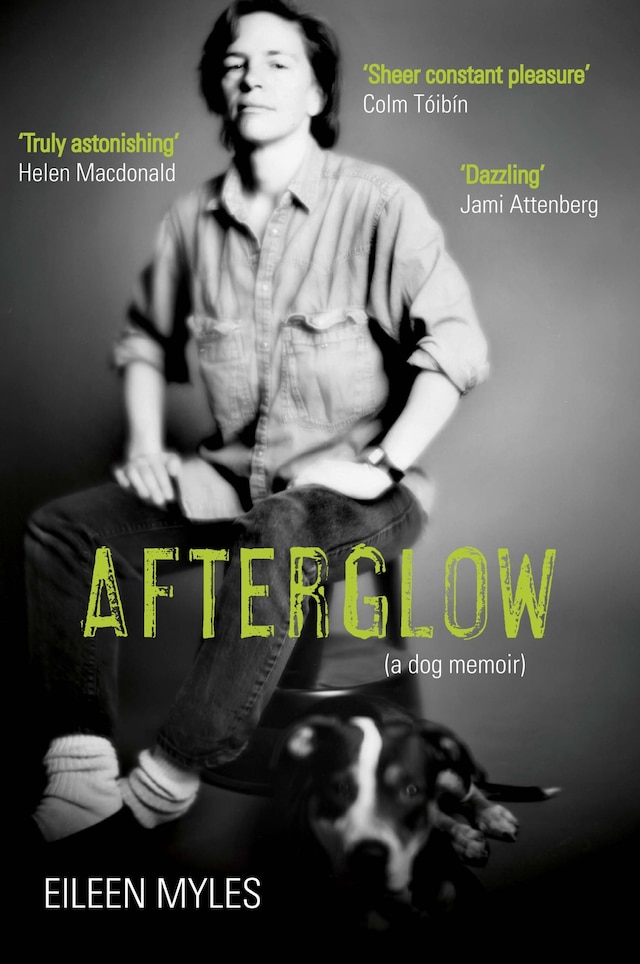 Buchcover für Afterglow