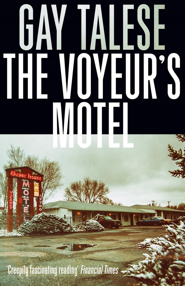 Book cover for The Voyeur's Motel