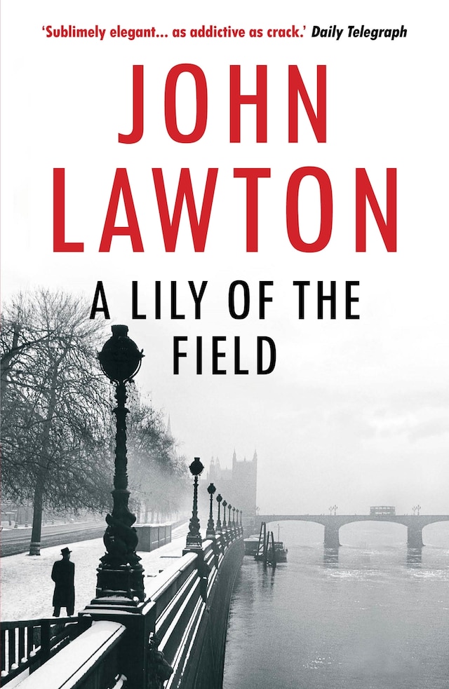 Book cover for A Lily of the Field