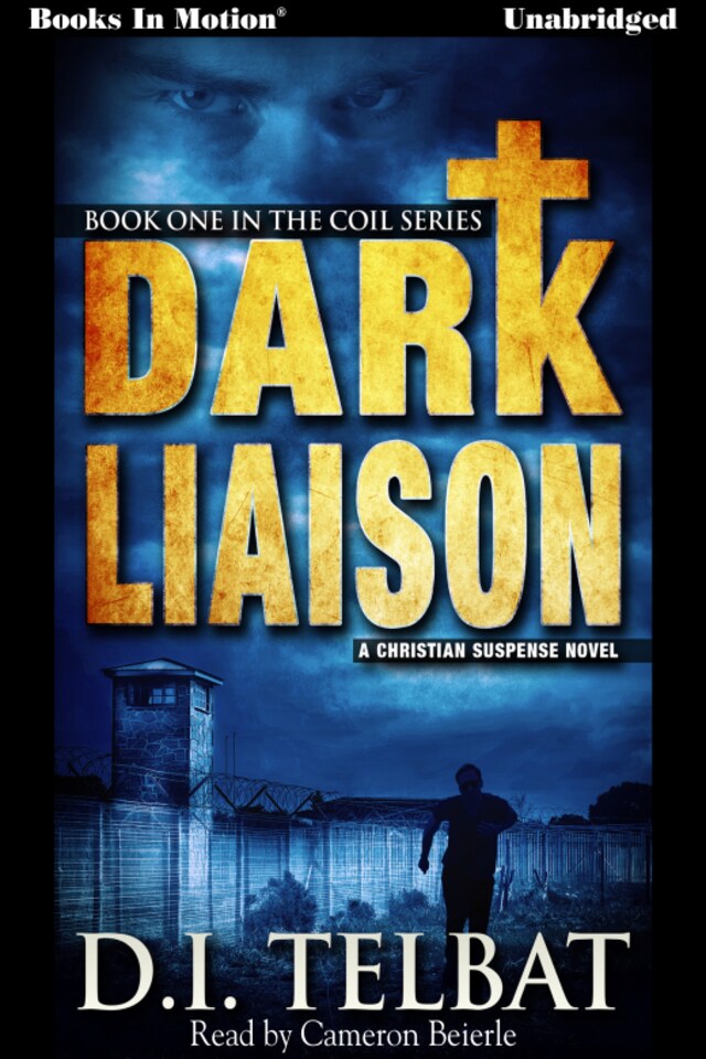 Book cover for Dark Liaison