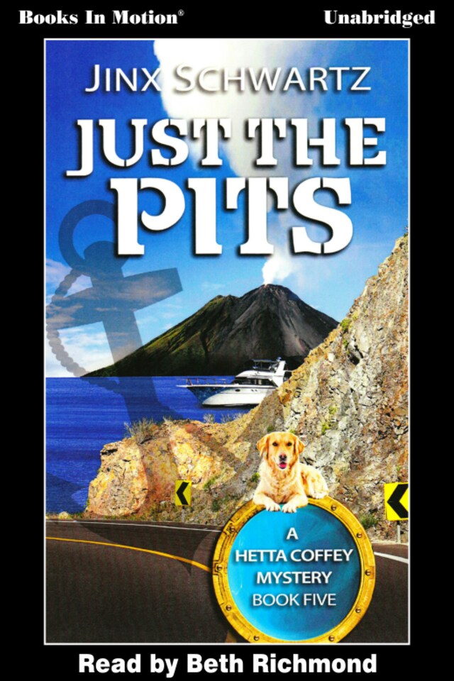 Copertina del libro per Just the Pits