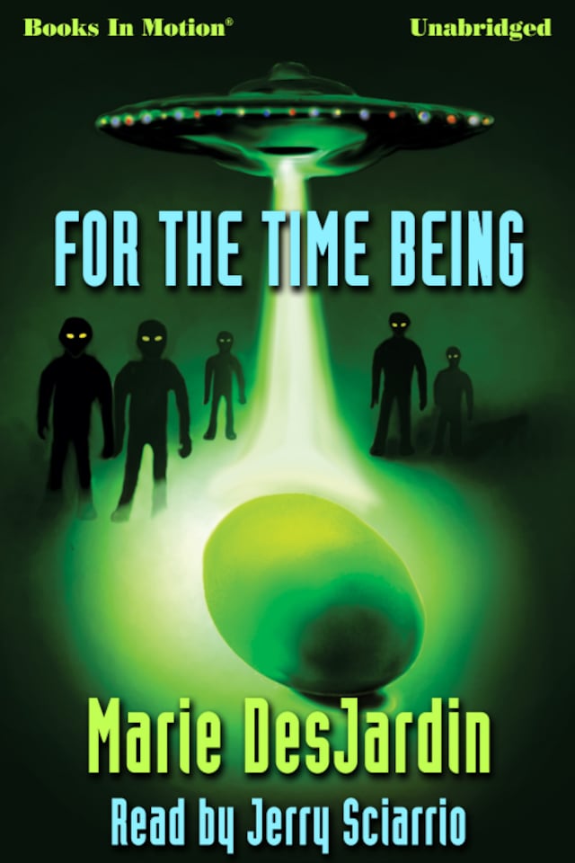 Couverture de livre pour For The Time Being