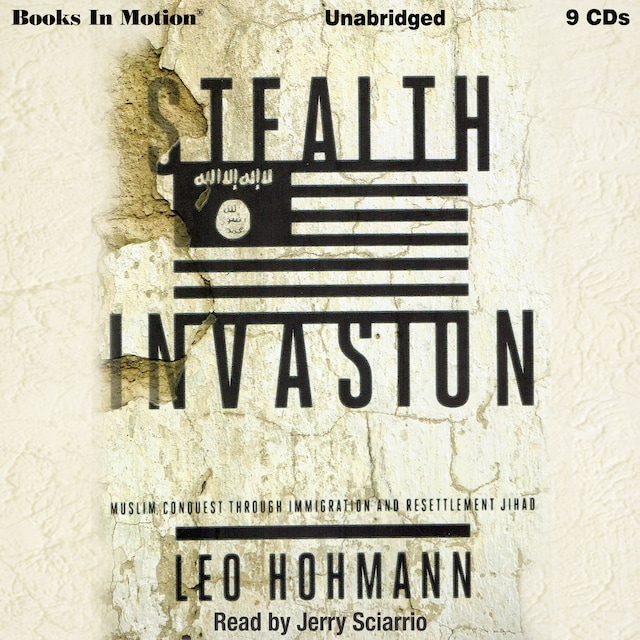 Book cover for Stealth Invasion