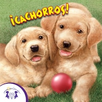 ¡Cachorros!