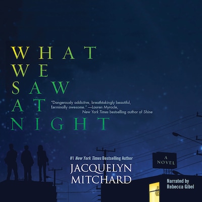 What We Saw at Night